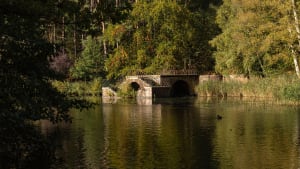 Rushmere one of the country’s best parks