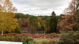 Never visited Rushmere Country Park?