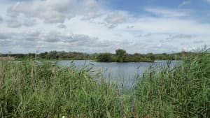 Clophill Lakes Nature Reserve