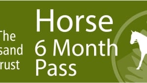 Rushmere 6 Month Horse Pass