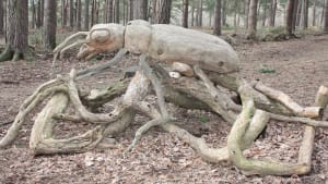 Oak Wood Sculpture Trail