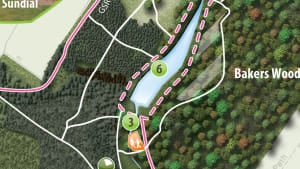 General map of site